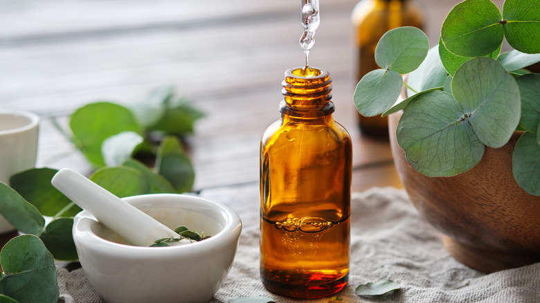 Eucalyptus oil 