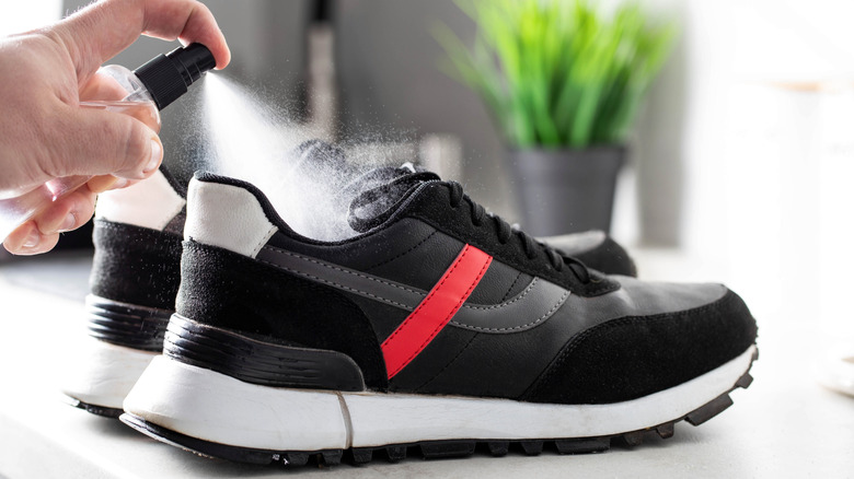 Hand applying spray on black shoes