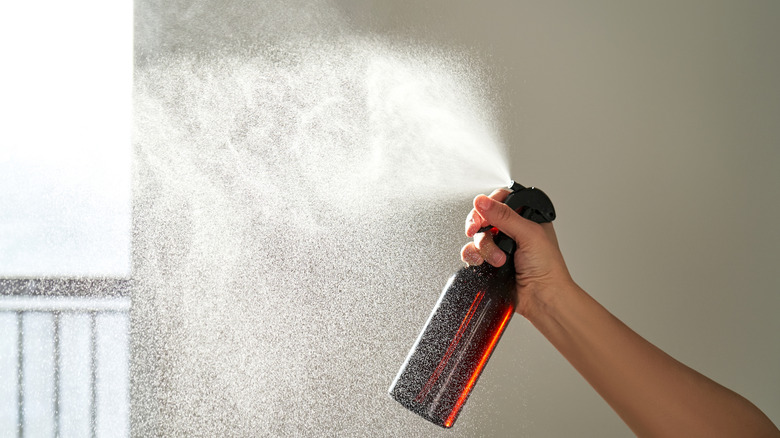 Woman's hand spraying air freshener in room