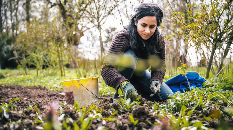 Woman removing weeds in garden