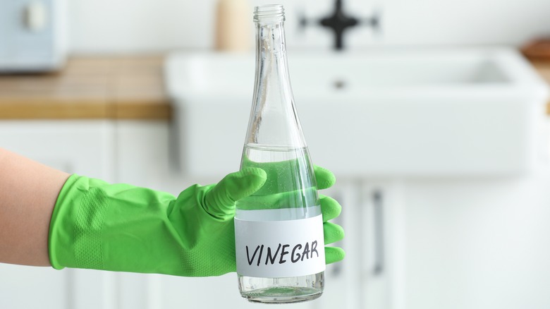 Hand holding bottle of vinegar