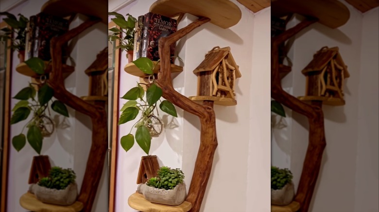 A climbing branch shelf that wraps around a corner holding books, plants, and a birdhouse