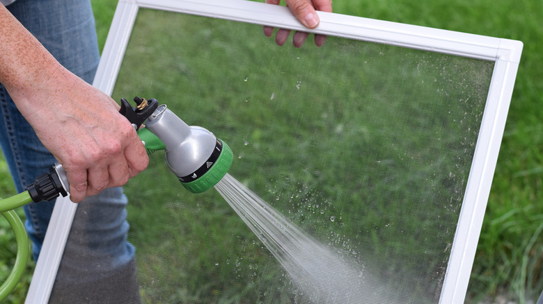 Person cleaning window screen