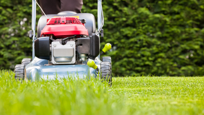 Lawn mower riding over grass