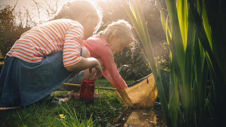 children exploring pond