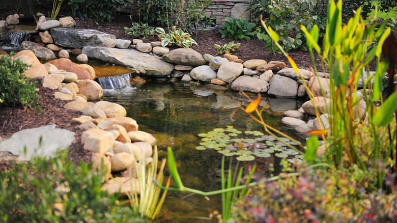 garden pond with rocks