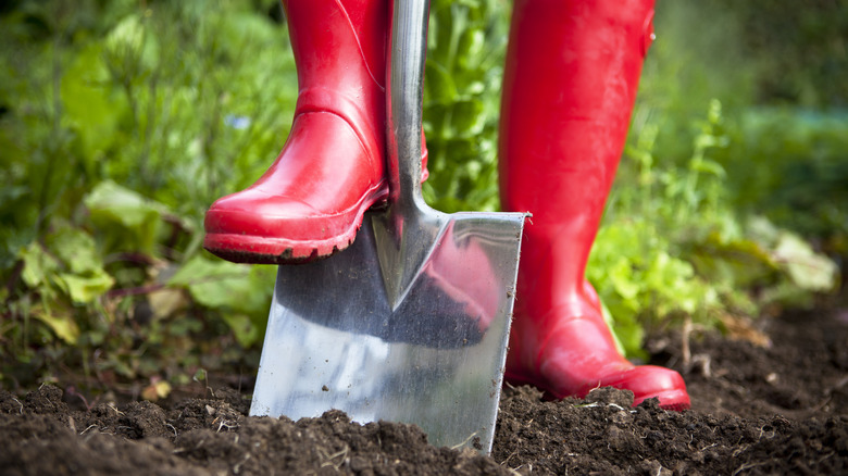 red boots and shovel