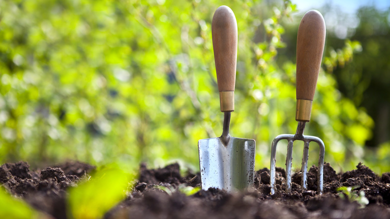 hand tools in soil