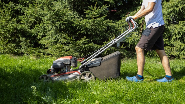 Person mowing overgrown yard