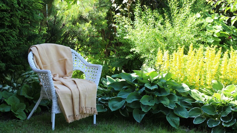 chair in shade garden