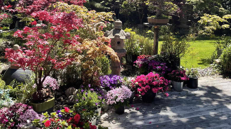 dappled shade in garden