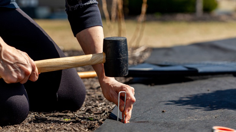 A person installing landscape fabric with a mallet