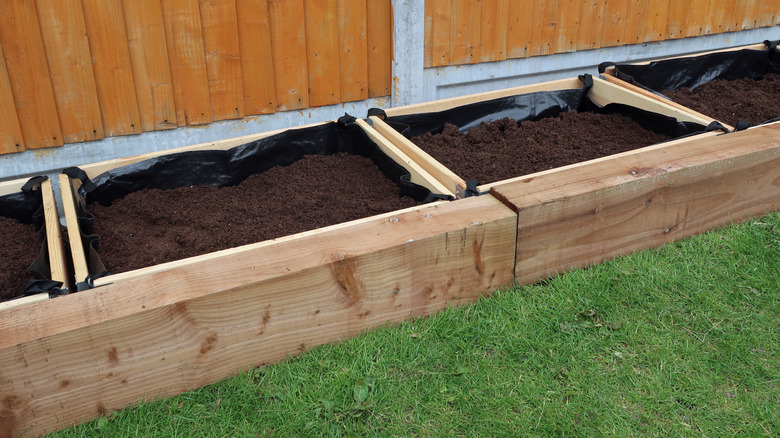 Wooden planter boxes lined with plastic and filled with soil