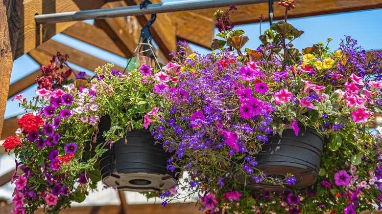 many flowers in baskets