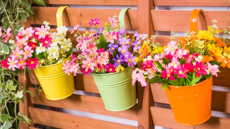 hanging baskets on fence