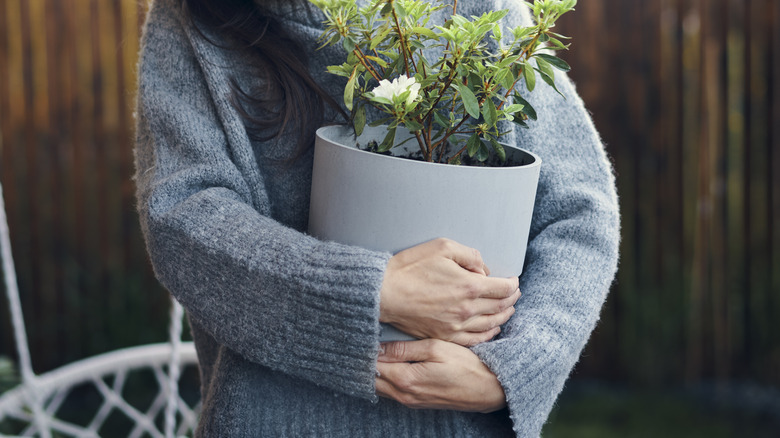 woman carrying plant