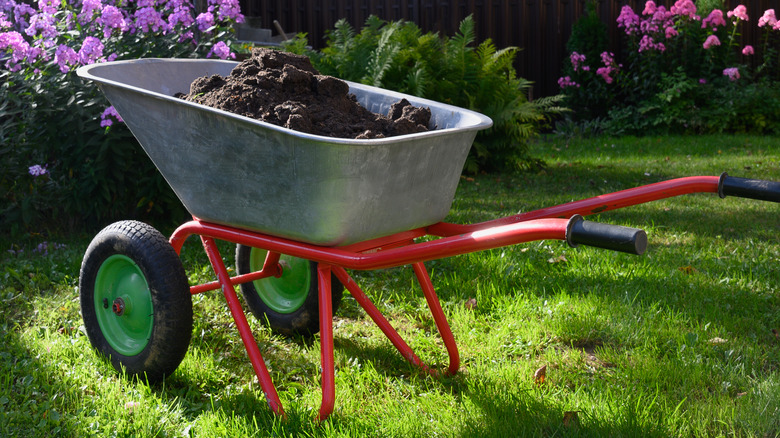 compost in wheelbarrow