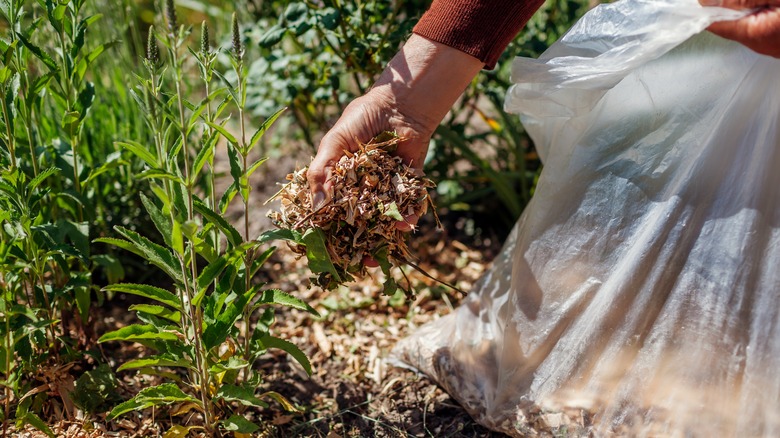 garden being mulched