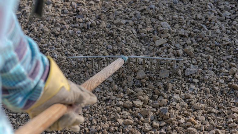 Levelling gravel with a rake