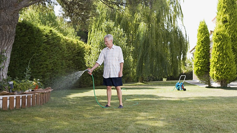 Man watering lawn with hose