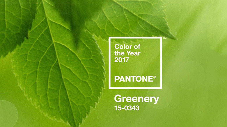 Pantone color Greenery