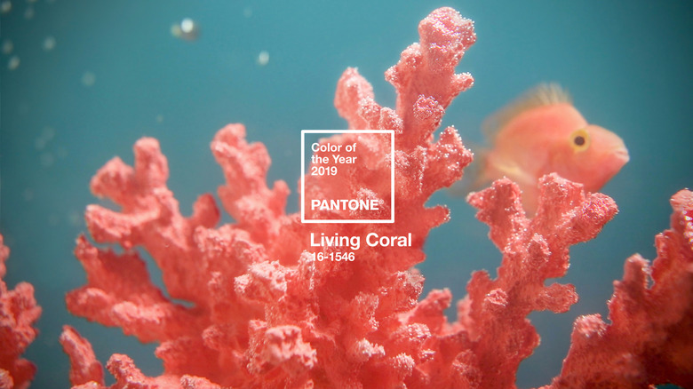 Living Coral Pantone color