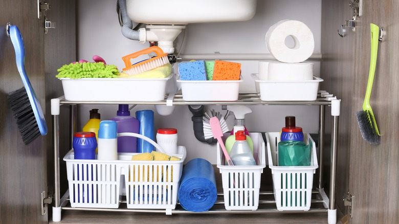 Cleaning supplies under the kitchen sink