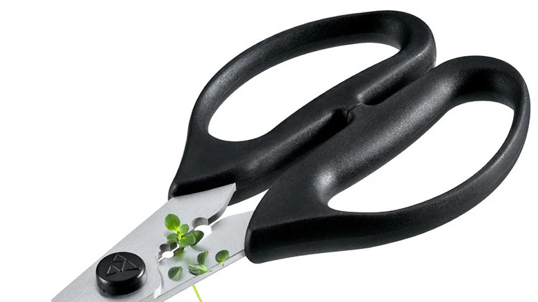 scissors close-up with herb stripper