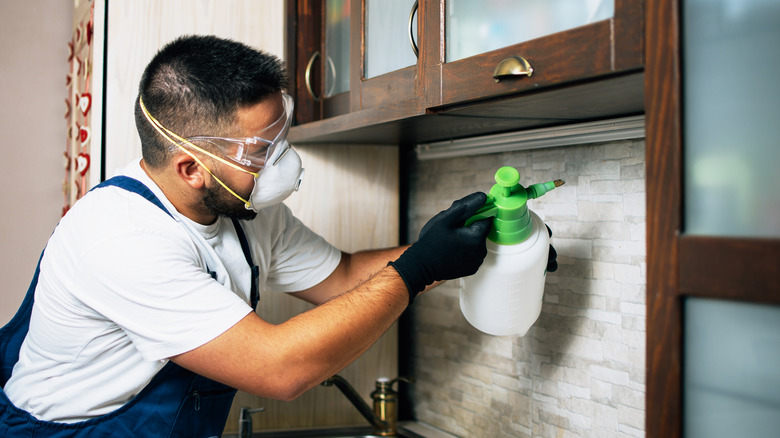 exterminator spraying above sink