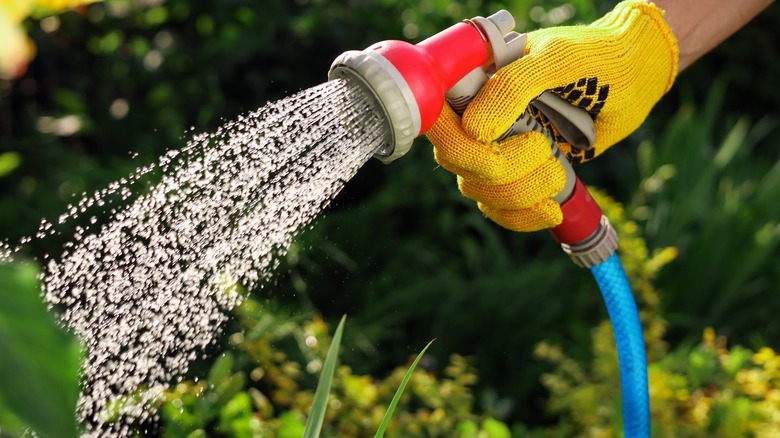 Water spraying out of hose