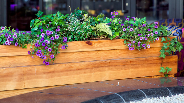 wooden planter