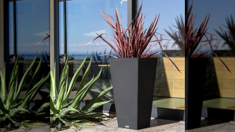 Taper Planter by Veradek