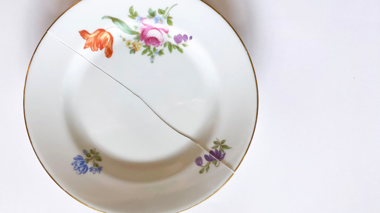 broken fine china dinner plate