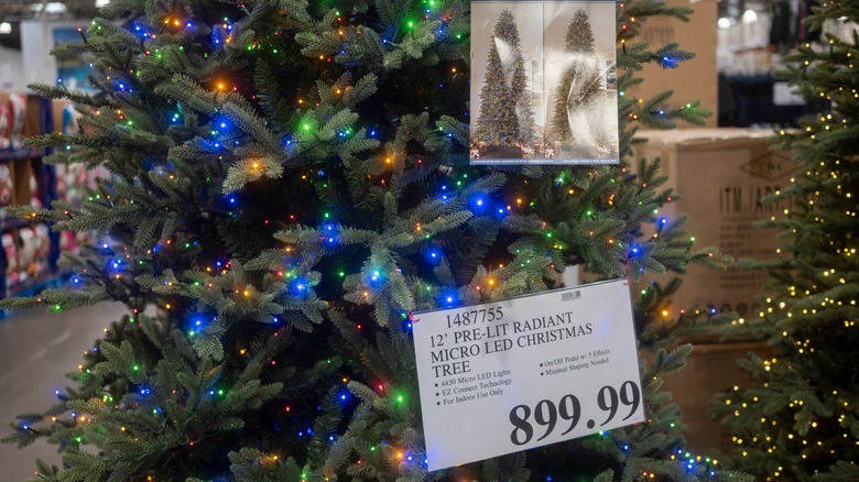 costco christmas tree display