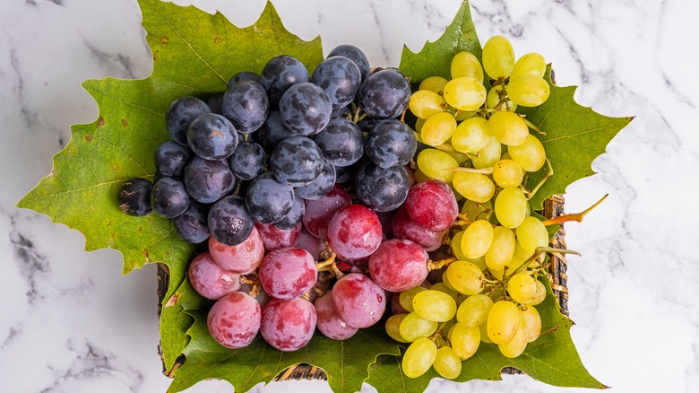 colorful variety of grapes