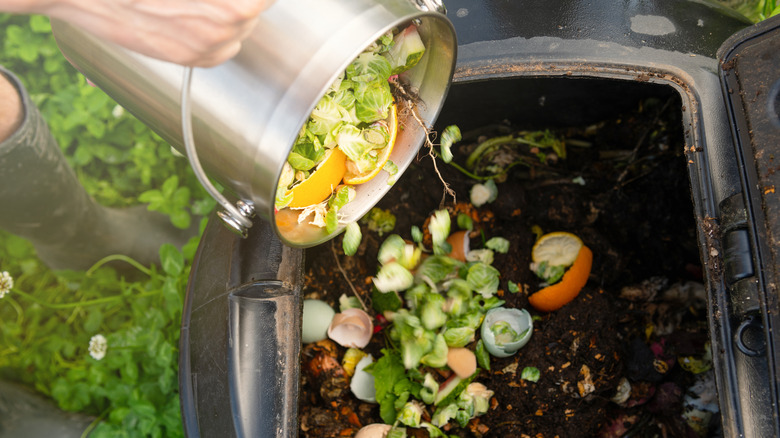 person adding to kitchen compost 