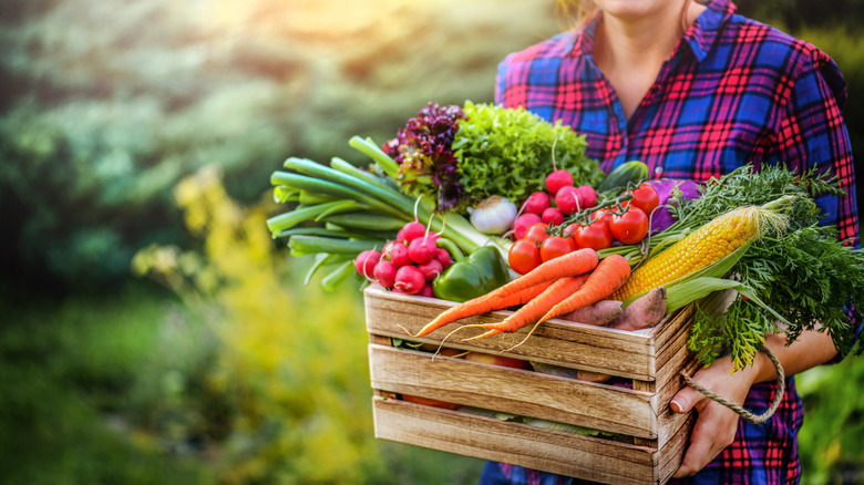 woman holding box of produce