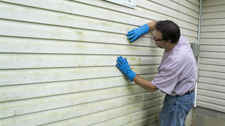 contractor cleaning vinyl siding