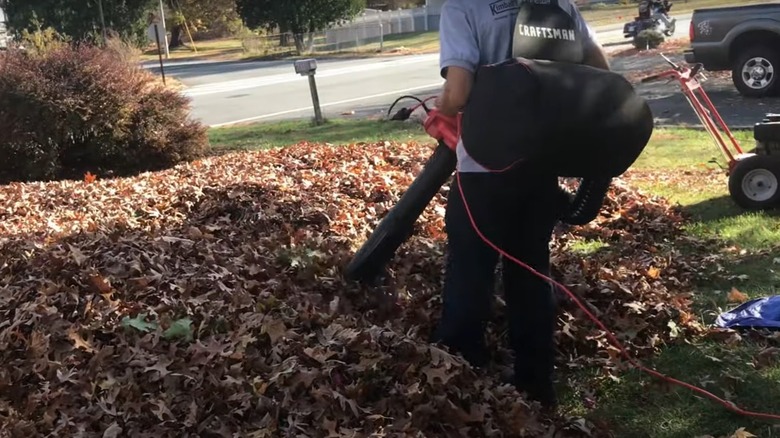 person using Craftsman leaf blower