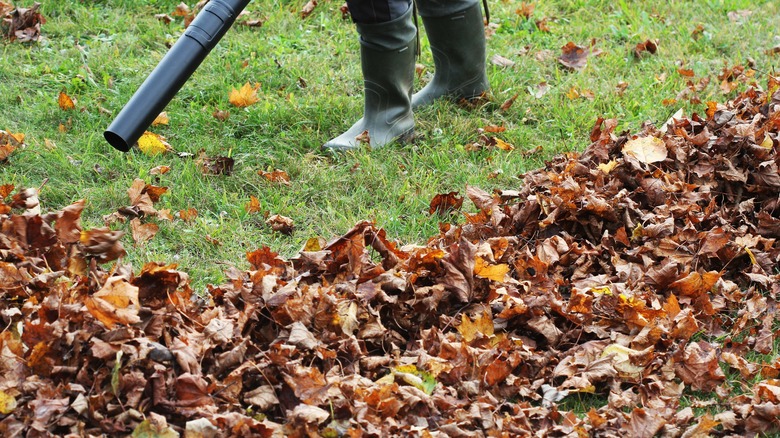 person using leaf blower