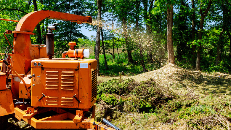 Tree mulcher working