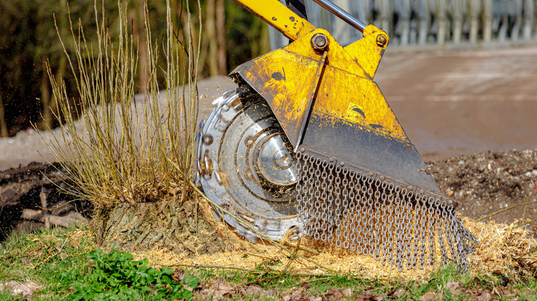 Stump removal machine