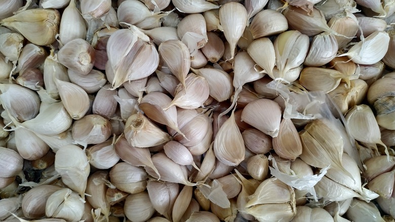 large pile of garlic bulbs