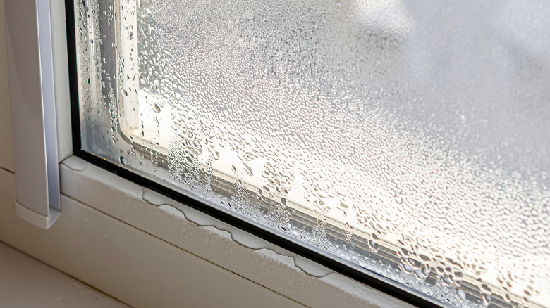 condensation from hot water 