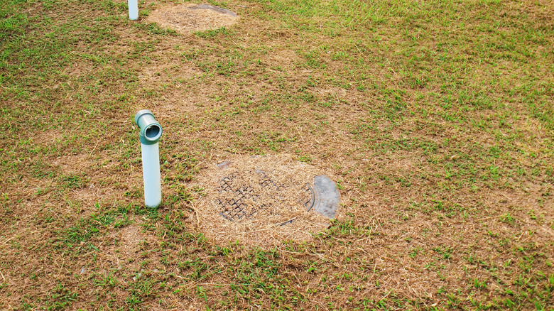 septic tank field from above covered in grass