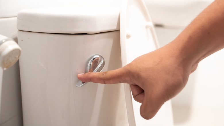 a person flushing the toilet