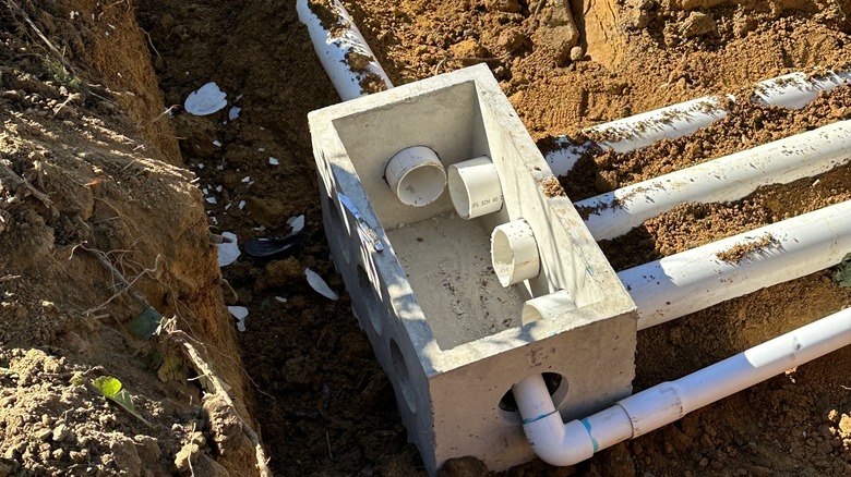 septic system D-box in the ground