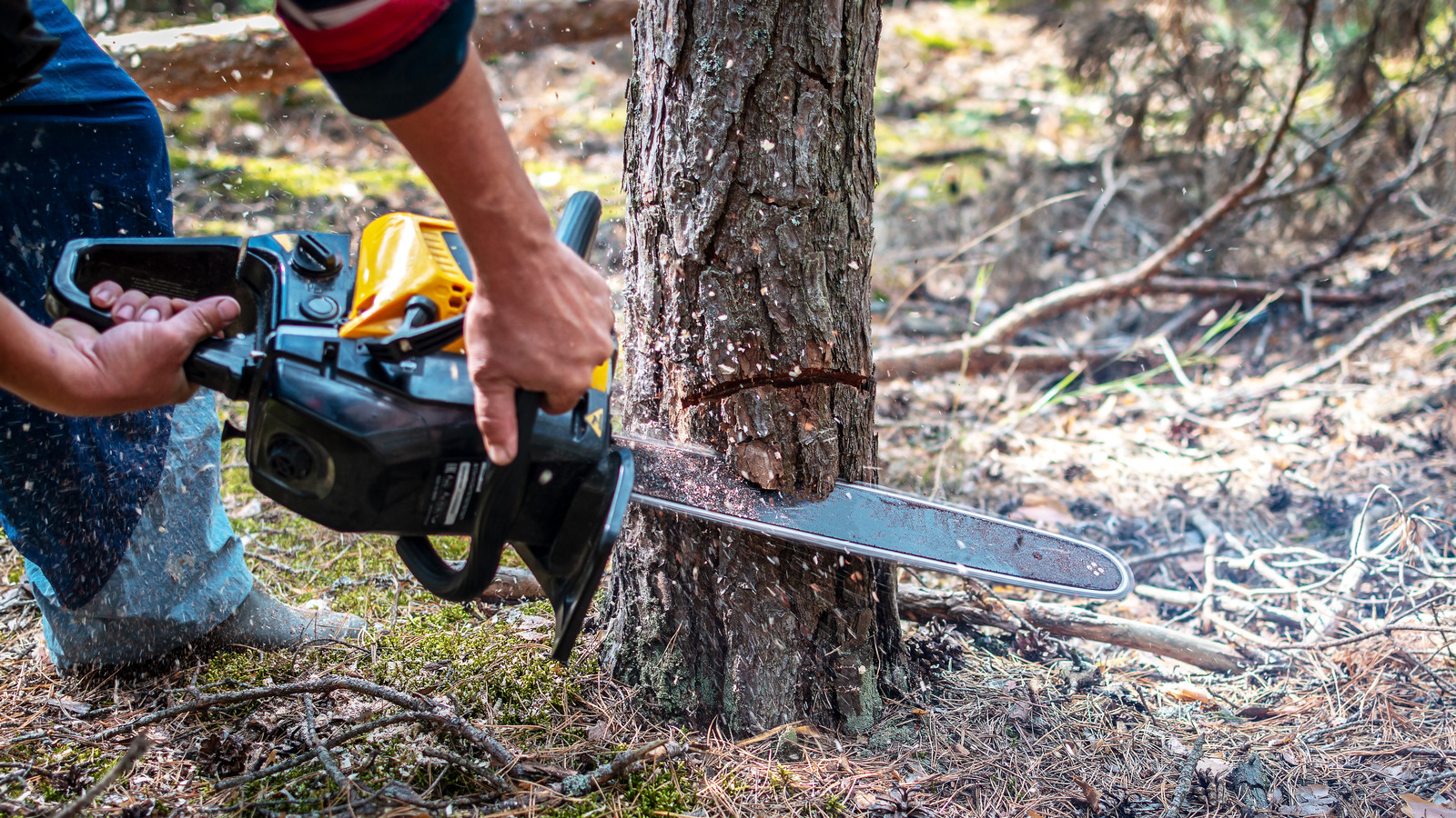 Exciting Changes Are Coming To Revolutionize Outdoor Power Tools In 2024