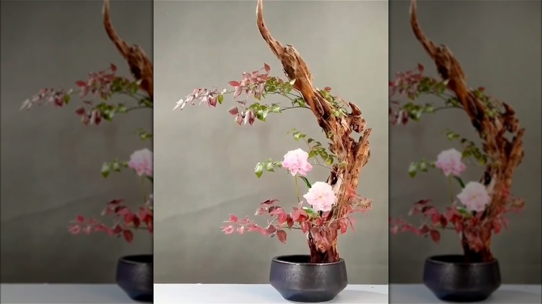 ikebana flower arrangement