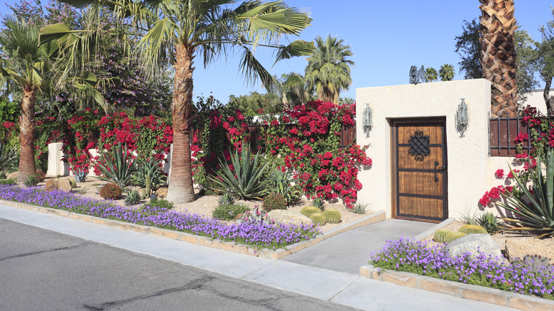 A beautifully landscaped home in southern California.